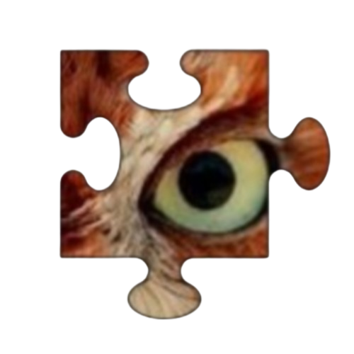 puzzle2image.com